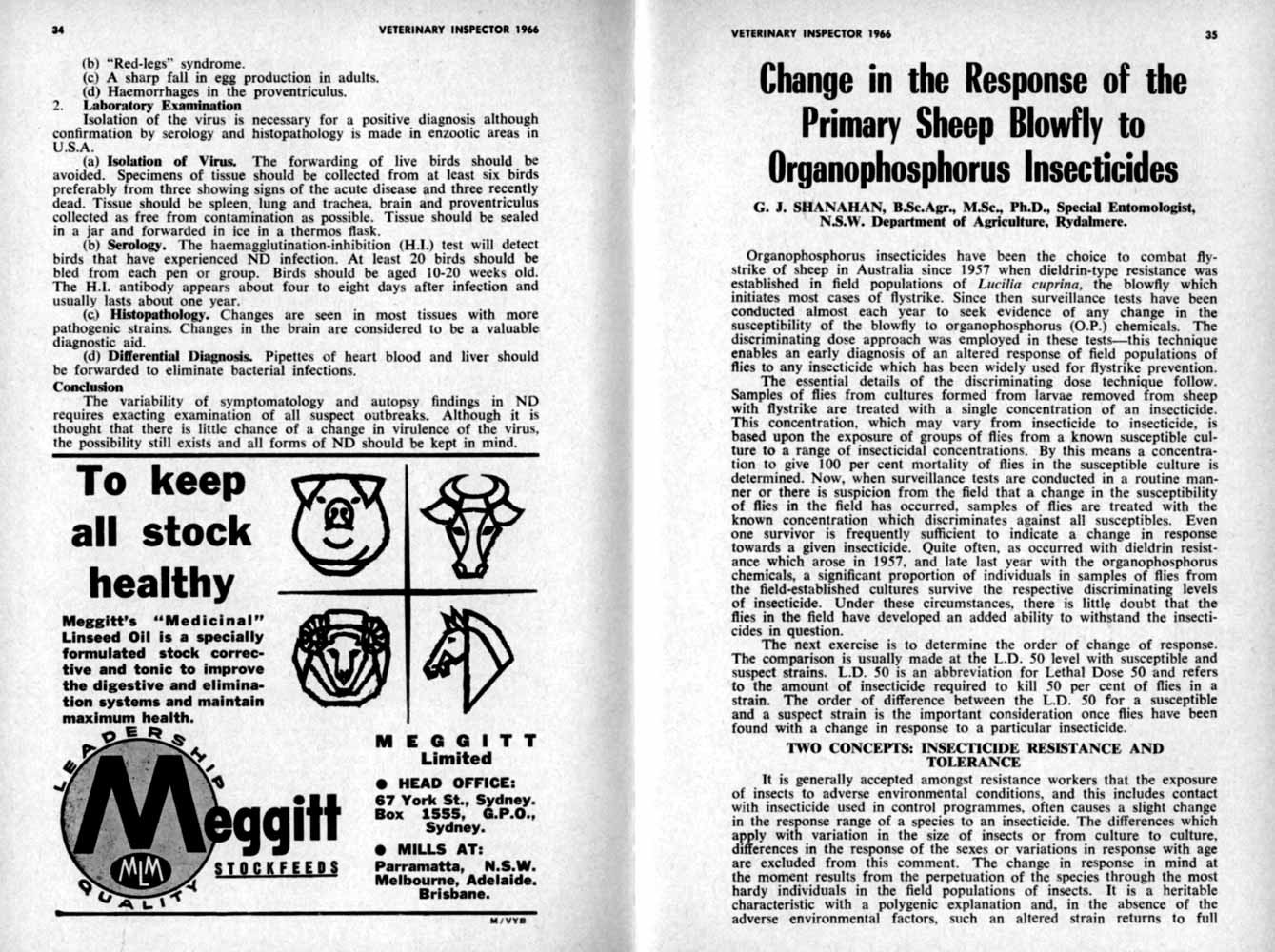 1966 Page 34 35